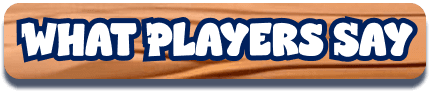 What Players Say